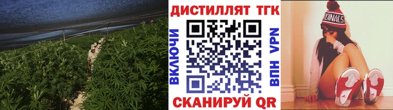 kraken как войти  Щучье  ТГК вейп 
