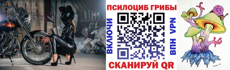Псилоцибиновые грибы Magic Shrooms  ссылка на мегу маркетплейс  Щучье 