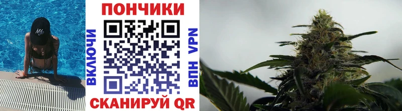 Шишки марихуана THC 21%  МЕГА ONION  мориарти как зайти  Щучье 